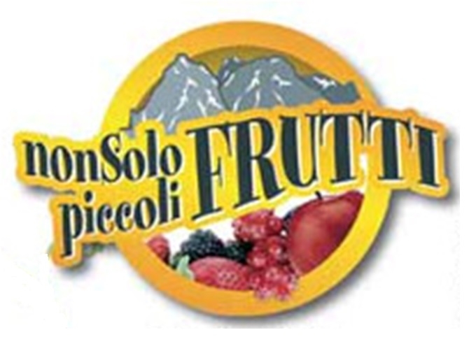 Logo di Non solo piccoli frutti